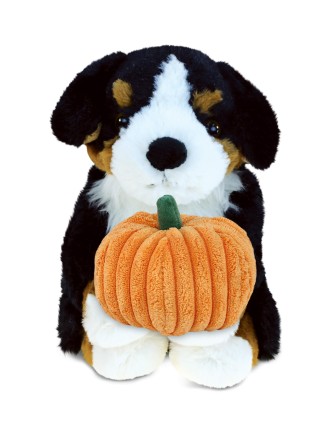 Cute puppy holding pumpkin...