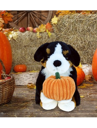 Cute puppy holding pumpkin...
