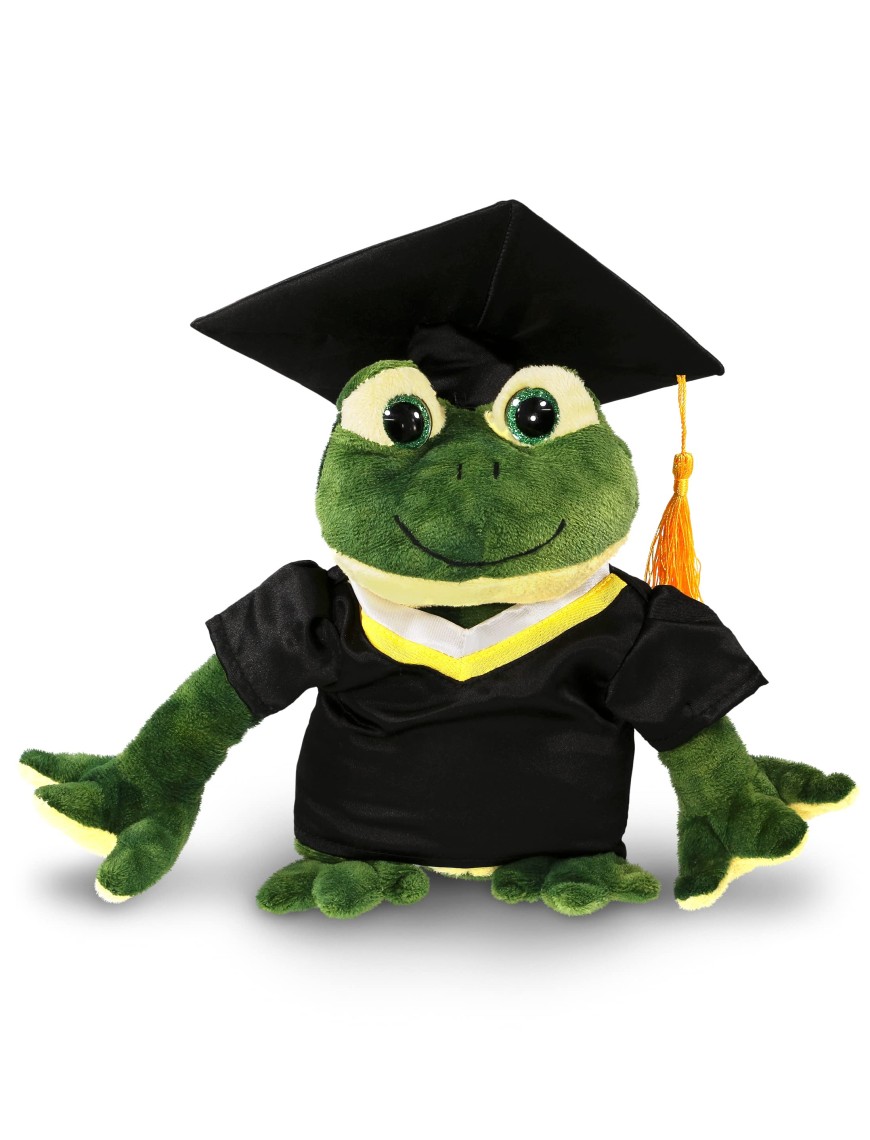 Graduation commemorative frog plush toy