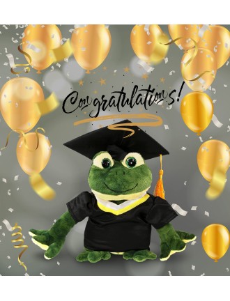 Graduation commemorative frog plush toy