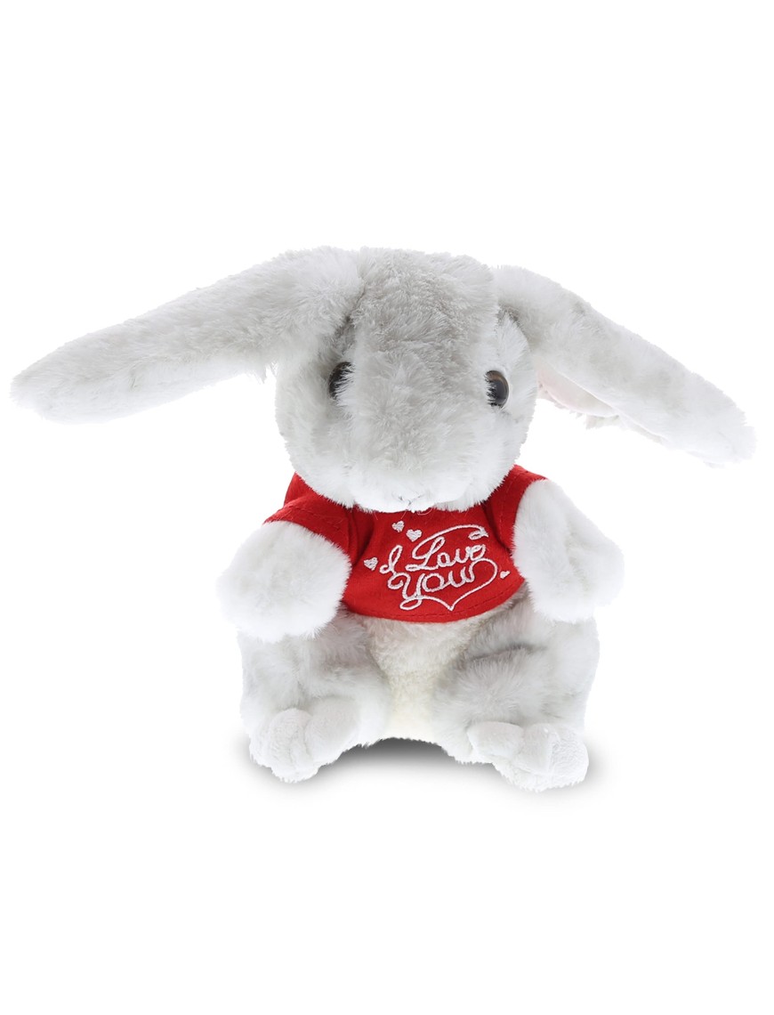 Love Rabbit Plush Toy