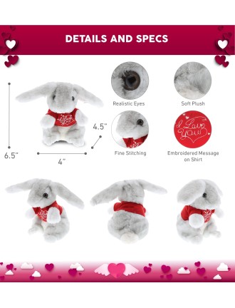 Love Rabbit Plush Toy