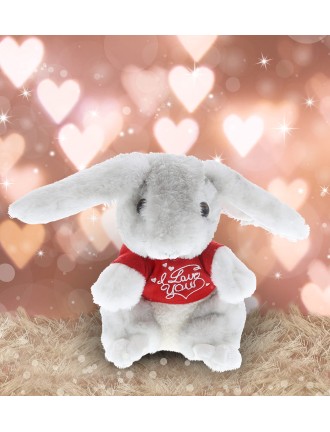 Love Rabbit Plush Toy