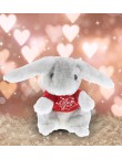 Love Rabbit Plush Toy