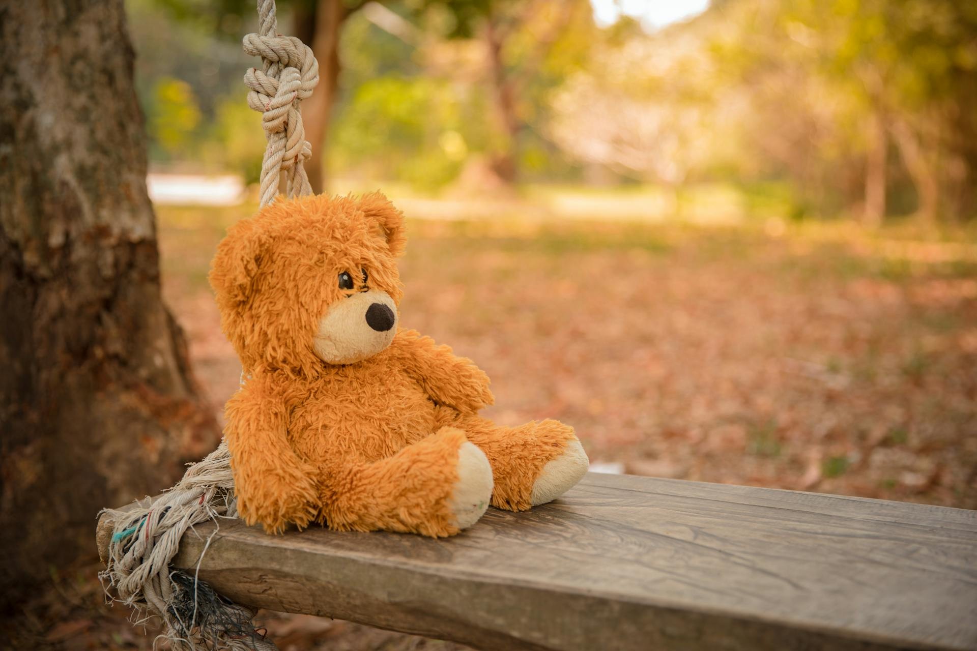 Bring your childhood home